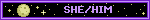 she/him