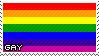 Gay flag